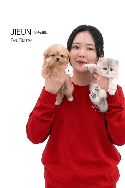 미유펫 펫플래너