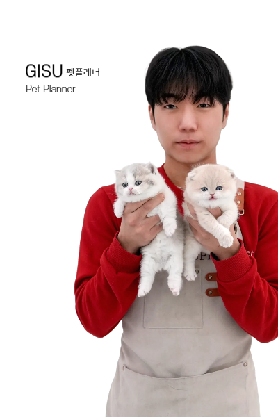 미유펫 펫플래너