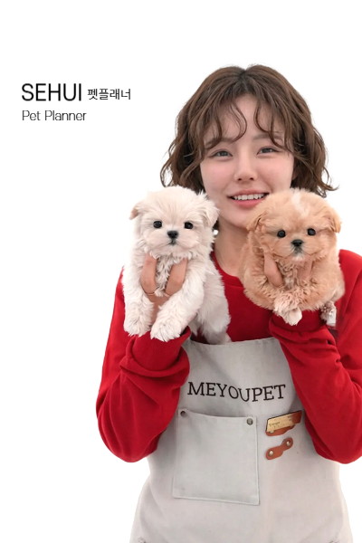 미유펫 펫플래너