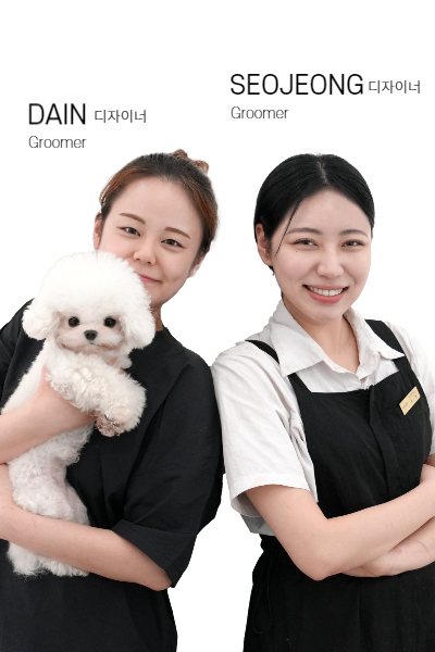 소유펫 디자이너